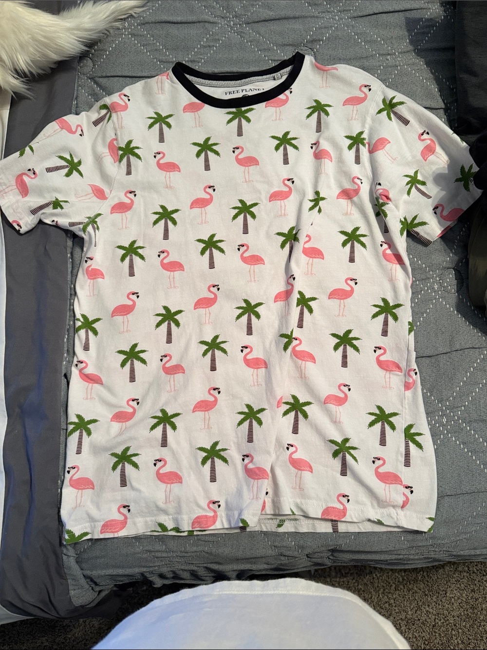 Free Planet Pink Flamingo & Green Palm Ringer Tee